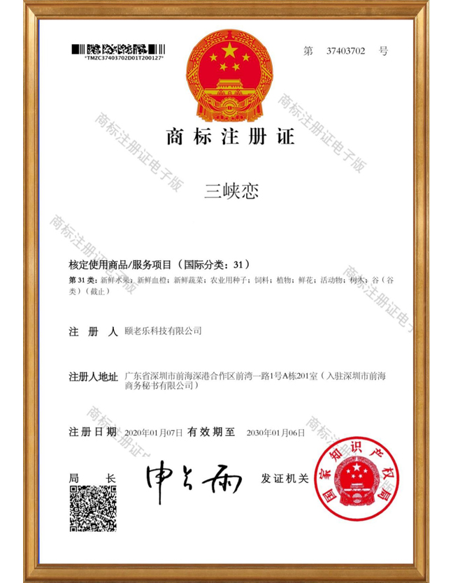 獲得三峽戀商標注冊